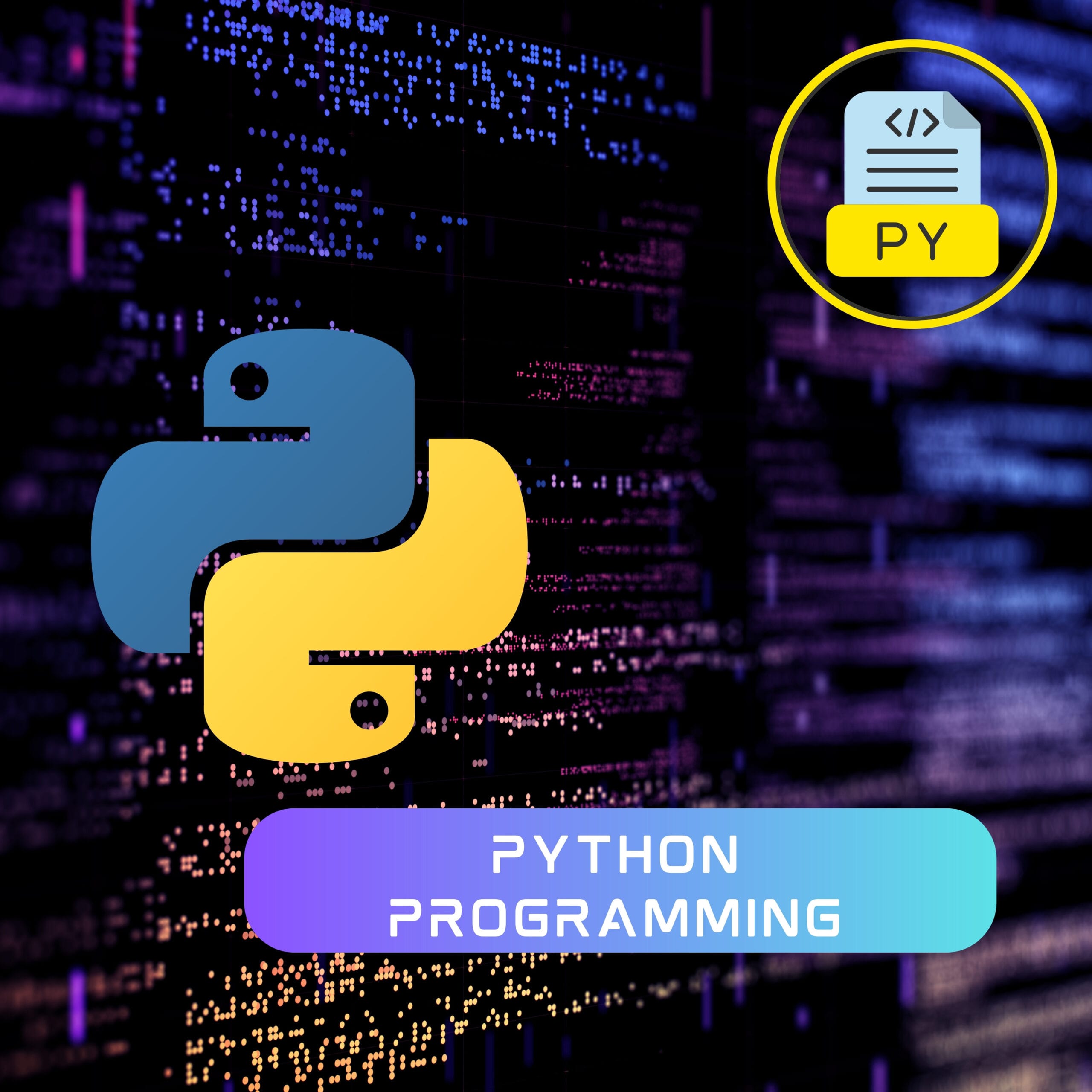 Python Program