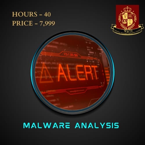 Malware Analysis 