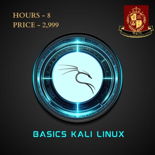 Basic Kali Linux